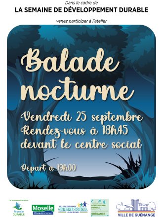 Balade nocturne